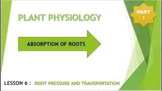 BIOLOGY | PLANT PHYSIOLOGY | ABSORPTION BY ROOTS | CLASS 10 | LESSON 6 - [ PART 1 ] - TRANSPORTATION