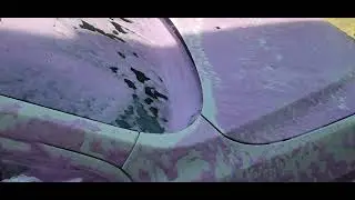 Alien Magic Purple Snow foam