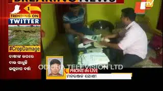 Vigilance raids residence of Assistant Engineer of Rural Development Department
