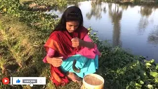 Secrets of Deshi Girl Hook Fishing in Nasarel Village #fishingislife  #fishingtrip