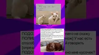 #mems #youtube #мем #мемы #мемы_тикток #youtubeshorts