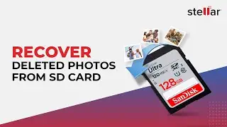 How to Recover Deleted Photos from SD Card?