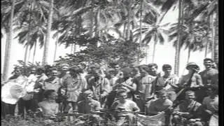Members of  2nd Marine Raider Battalion in Guadalcanal, Solomon Islands during Wo...HD Stock Footage