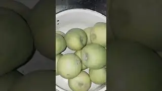 Apple juice without machine part1
