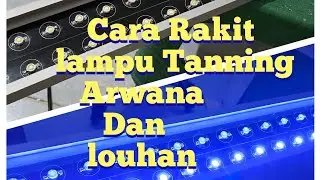 Cara Merakit Lampu Tanning Arwana Dan Louhan