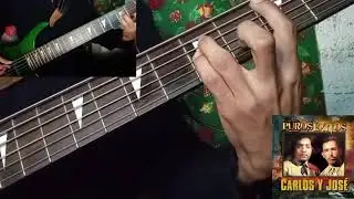 FLOR DE CAPOMO-Cover bass 