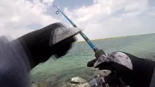 Fishing Spot#7 Yas Island Episode 8