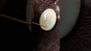 Spencer Flash Opal