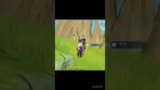 Genshin Impact Hidden Quest - A Short Encounter with a Rare Bird