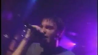 No One Chemical RARE LIVE