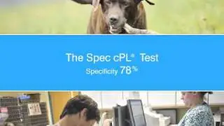 SNAP&reg; cPL&trade; Test: Research on the Performance of cPL for Dogs with Acute Pancreatitis