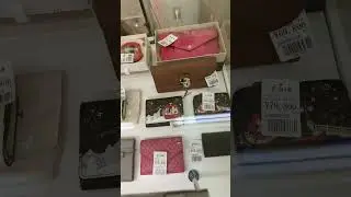 Роскошные кошельки от yumeichiba #moynat #prada #ysl #luxury #wallets #prada #shortsvideo