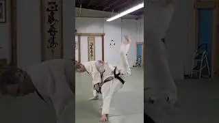 High tsuki high falls #aikido #martialarts #ukemi #training