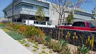 LAPD NORTHEAST STATION 1st amendment audit