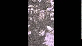 Madness Concealed Within a Crystalline Vessel - Obsidian Forest