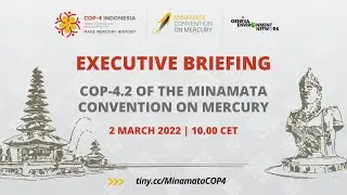 Executive Briefing on the Minamata Convention on Mercury's Conference of Parties (COP-4.2)