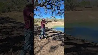 22 plinker