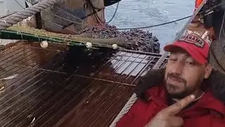 تقنيات احترافية في سحب شباك الجر العملاقة من سفينة صيد ⚓🎣.
