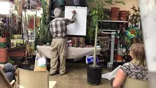Growing Pinapple Passion Fruit & Papaya | LIVESTREAM