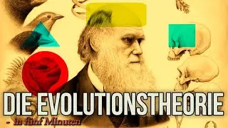 Evolution einfach erkl&auml;rt: Alles, was du in 5 Minuten wissen musst