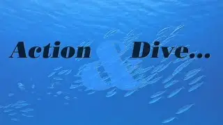 Divemaster Skill Training