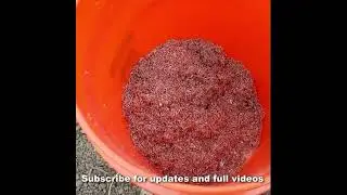 Cleaning Scrap Copper