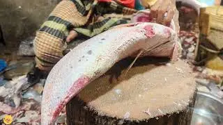 big coral fish cutting in Bangladesh fish market |New coral fish cutting live Fish market price 2025