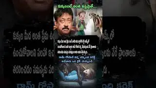 RGV Fires on Street Dogs Issue 🐕 | 