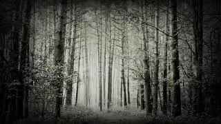 Xasthur - Telepathic with the Deceased - [Full Album]
