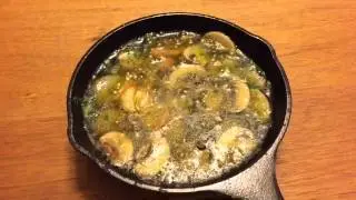 LODGE LOGIC SKILLET 6.5inch Shakedown!LODGE