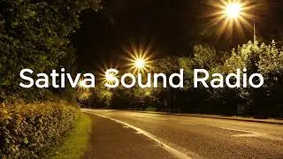 Sativa Sound Radio | Night Drive           (music for driving-studying-and focus)