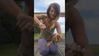 Добываем клешню каменного краба! (по крайней мере, пытаюсь) #каменныекрабы #морскаяяма #девушкаиз...