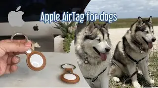 Apple Air Tag for dogs review | Malamutes test the air tags trackers