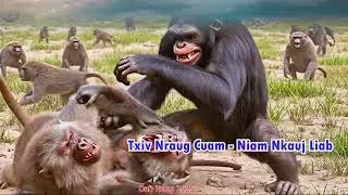 Dab Neeg (38) - Txiv Nraug Cuam - Niam Nkauj Liab 16/01/2026