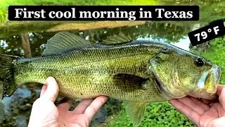RARE TEXAS FISH, and lake monster sighting!