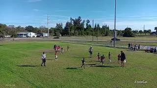 8U Falcons 1-11-26