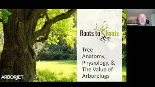 Tree Anatomy, Physiology, and the Value of Arborplugs