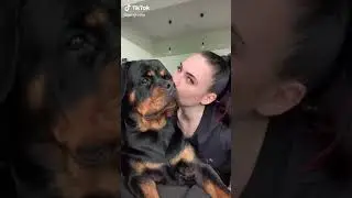 Kissing My Rottweiler All Day and Night ❤️ 😍 #Shorts #rottweiler