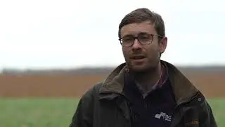 Agroecological IPM - Exemples de r&eacute;ussite du biocontr&ocirc;le (FR) - Exploitation de grande culture