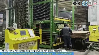 hot press autoinfeeder for plywood machine