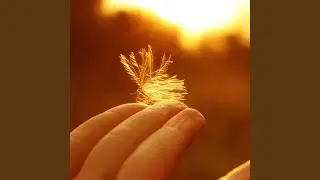 Radiant Jazz Sunrise