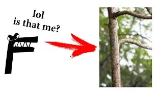 Alphabet Lore In Nature