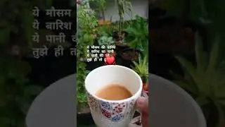Baarish Ki boondein 💦☔ or Chai ☕🥰