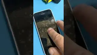 PXL 20221209 161648507