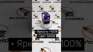 AVTOSVET02 Xenite Premium Light