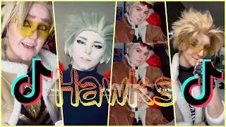 Hawks (Keigo Takami) TikToks