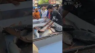 Wow Beautiful Big Live Fish Market #trending #shorts #fish #youtubeshorts