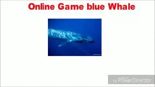 Blue Whale Game | Don't Play | Hyderabadi Short Film | Real Story | Presented by Herfan Moula