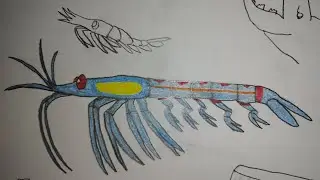 Sound Effects-