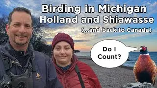 Birding in Michigan at Holland, Shiawasse and back to Ontario Canada for the 300 Bird Challenge